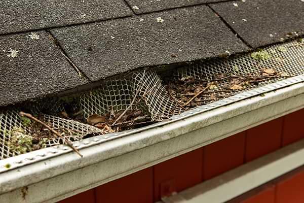 Connecticut & Rhode Island clogged gutters
