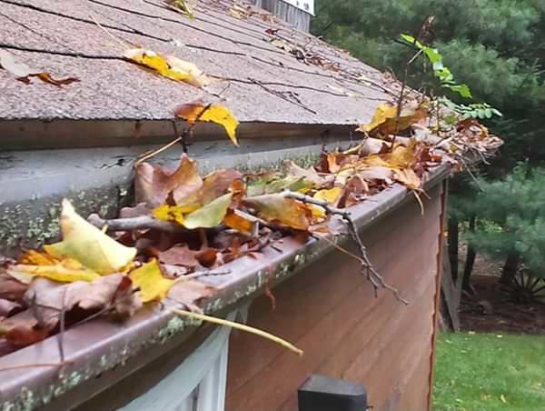 Eastern Connecticut & Rhode Island clogged gutters